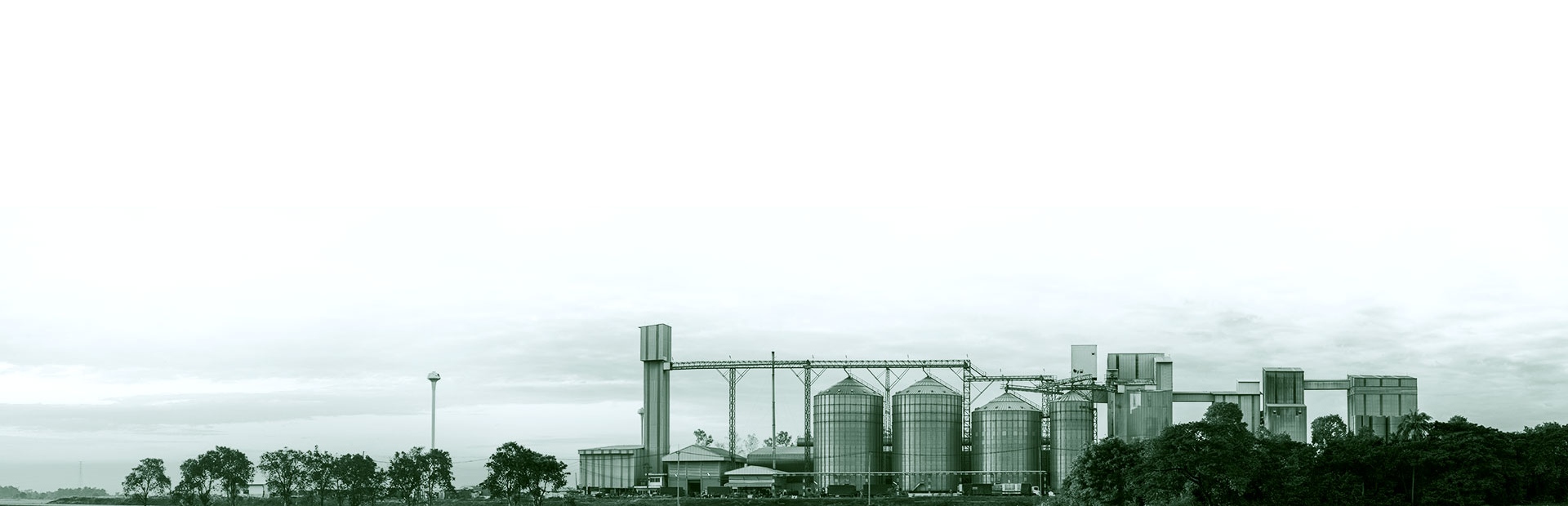 NCC Food Ingredients Production Facility and Quality Standards